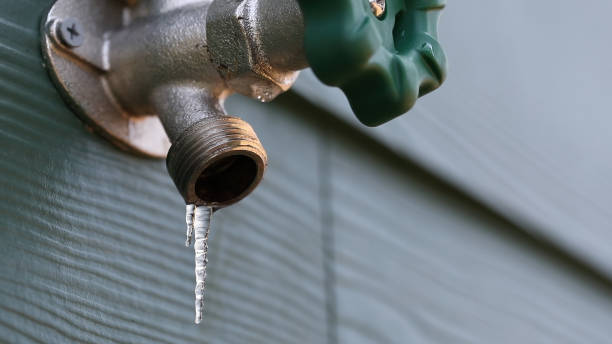 Best Plumbing Inspection Services  in New Haven, MO